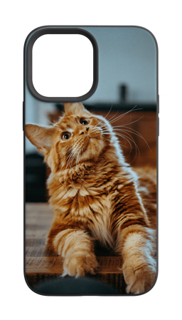 Custom Apple iPhone case with your photo